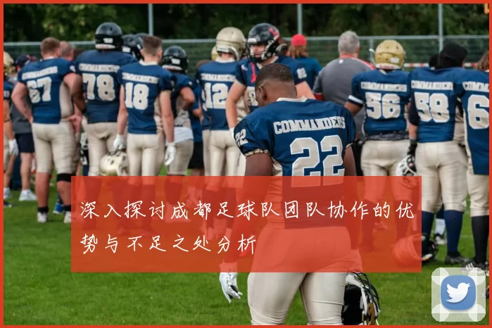 深入探讨成都足球队团队协作的优势与不足之处分析